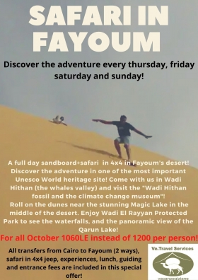 Discover Fayoum's desert! - Ve travel services 